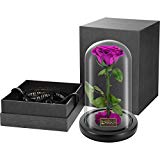 DeFaith Beauty and the Beast Enchanted Rose, 9" x 6" Preserved Real Fresh Rose, Unique Anniversary Gifts for Her Women Mother Mom Wife Girlfriend - Purple