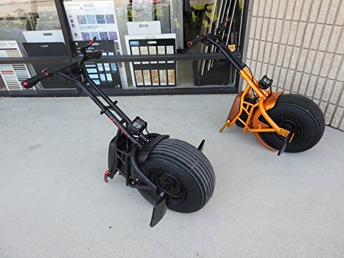Frame, Wheel, Battery, Charger, Screen, and LED One Wheel Electric Scooter with Single Fat Tire & 1000W Motor Complete Parts SUPERRIDE Self Balancing Electric Unicycle S1000 G2 