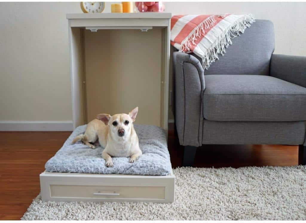 Murphy Style Dog Bed