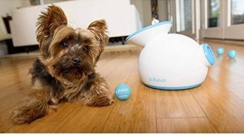 iFetch Interactive Ball Launcher