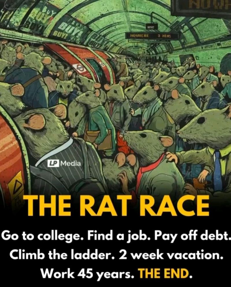The Rat Race. Go to college. Find a job. Pay off debt. Climb the ladder. 2 week vacation. Work 45 years. The End.