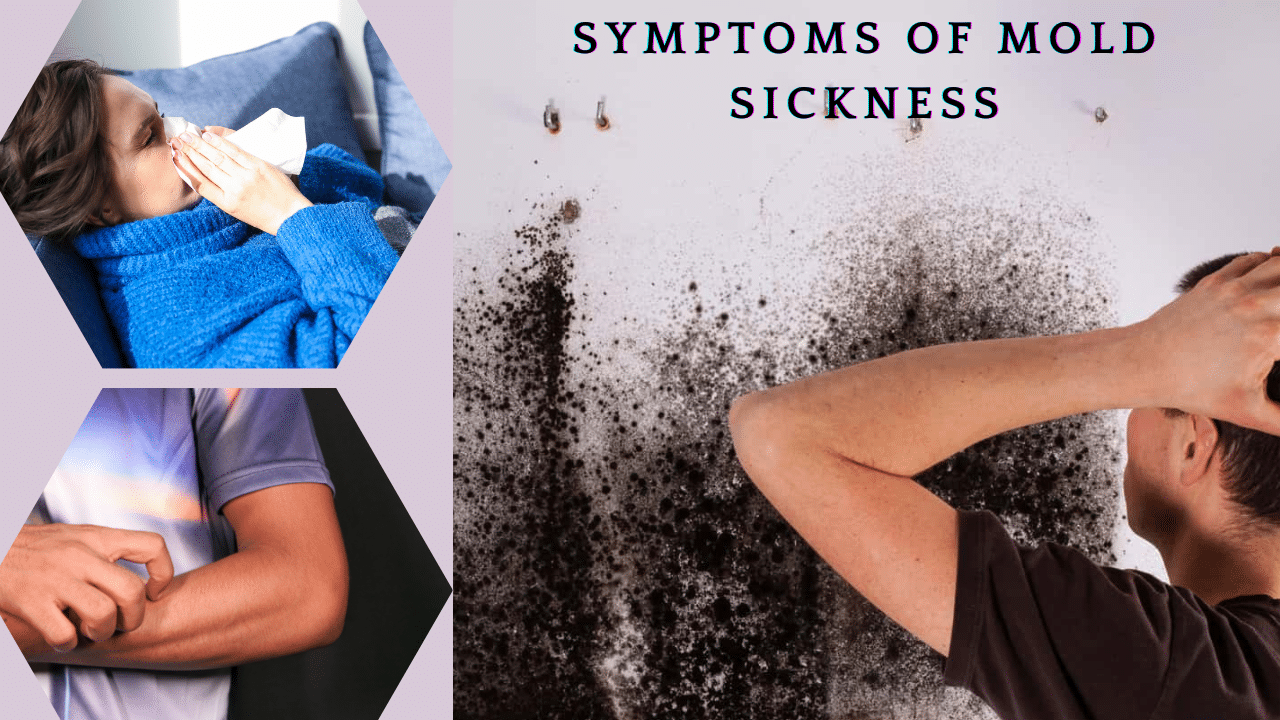 What Are the Symptoms of Mold Sickness? SPN