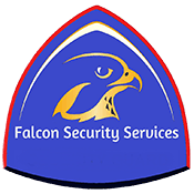 falcon security logo 175