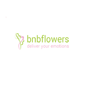 bnb logo 300x300