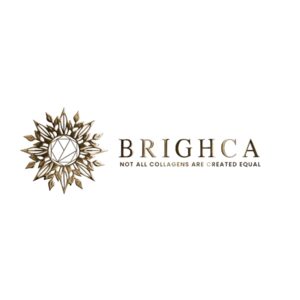 BRIGHCA 600X600 Logo 300x300