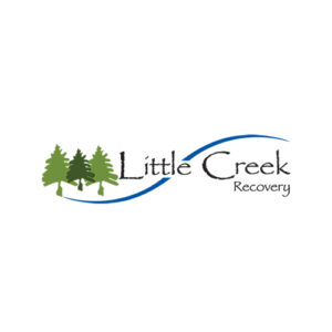 LOGO 500x500 little creek recovery 300x300