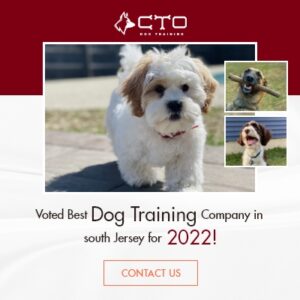 CTO Dog Training 400400 Graphics 300x300