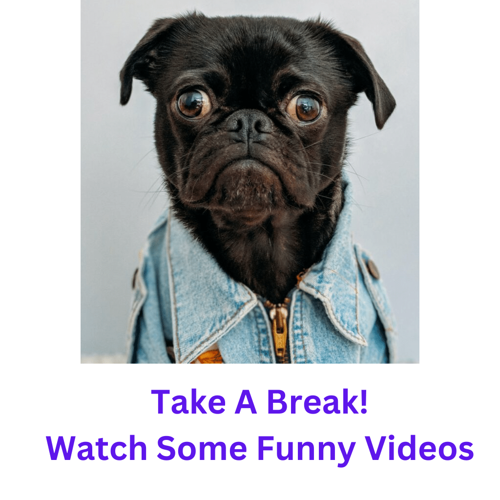 Watch some funny videos
