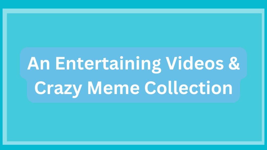 An Entertaining Videos Crazy Meme Collection