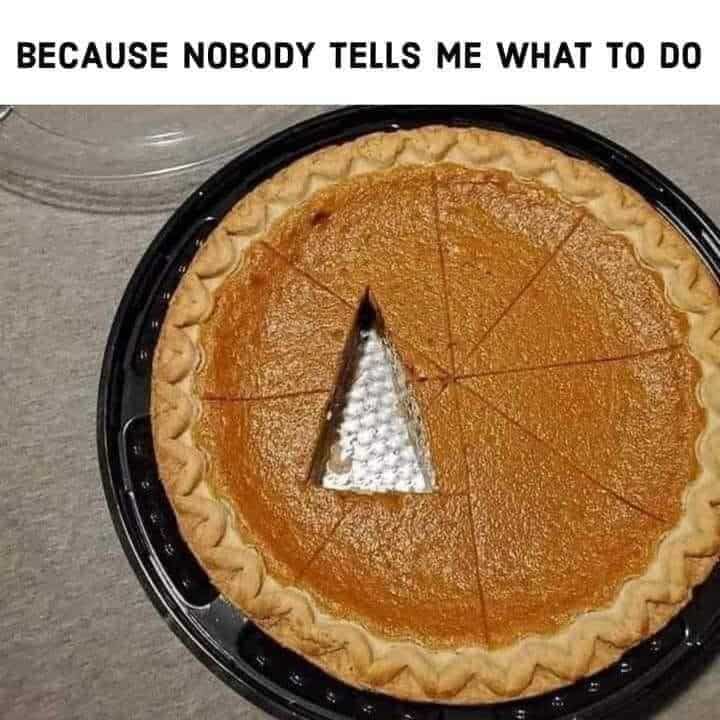 Because Nobody Tells Me What To Do