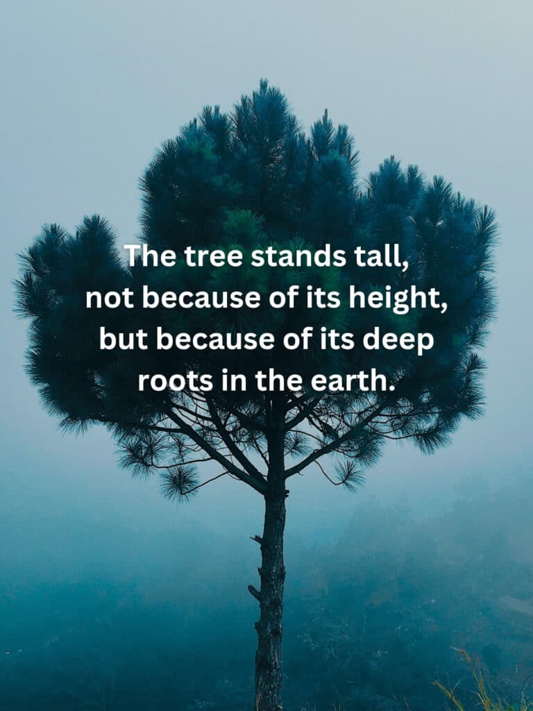 The tree stands tall