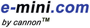 e mini logo 300x93