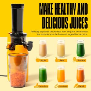 Make Healthy And Delicious Juices