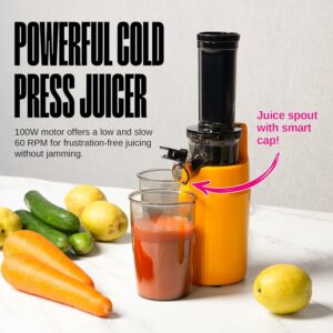 Powerful Cold Press Juicer