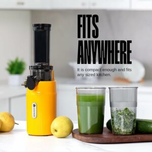 Ventray Essential Ginnie Juicer Compact - Fits Anywhere