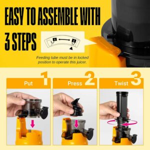 Ventray Essential Ginnie Juicer Compact and easy to assemble