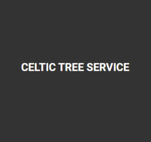 Celtic Tree Service LOGO 300x283