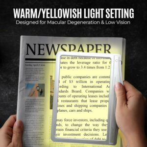 MagniPros 5X Large LED Page Magnifier for Reading with 3 Color Lighting