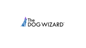 logo 2 1 300x167