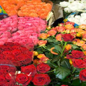 Florist 300x300