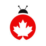 Maple pest logo white background