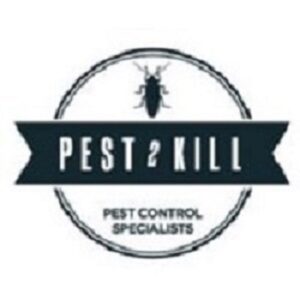 Pest2kill 300x300