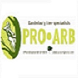 Procanterbury logo