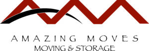 AmazingMovesLogo 300x103