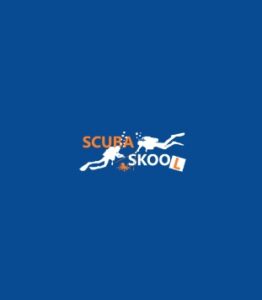 Logo 1 1 262x300