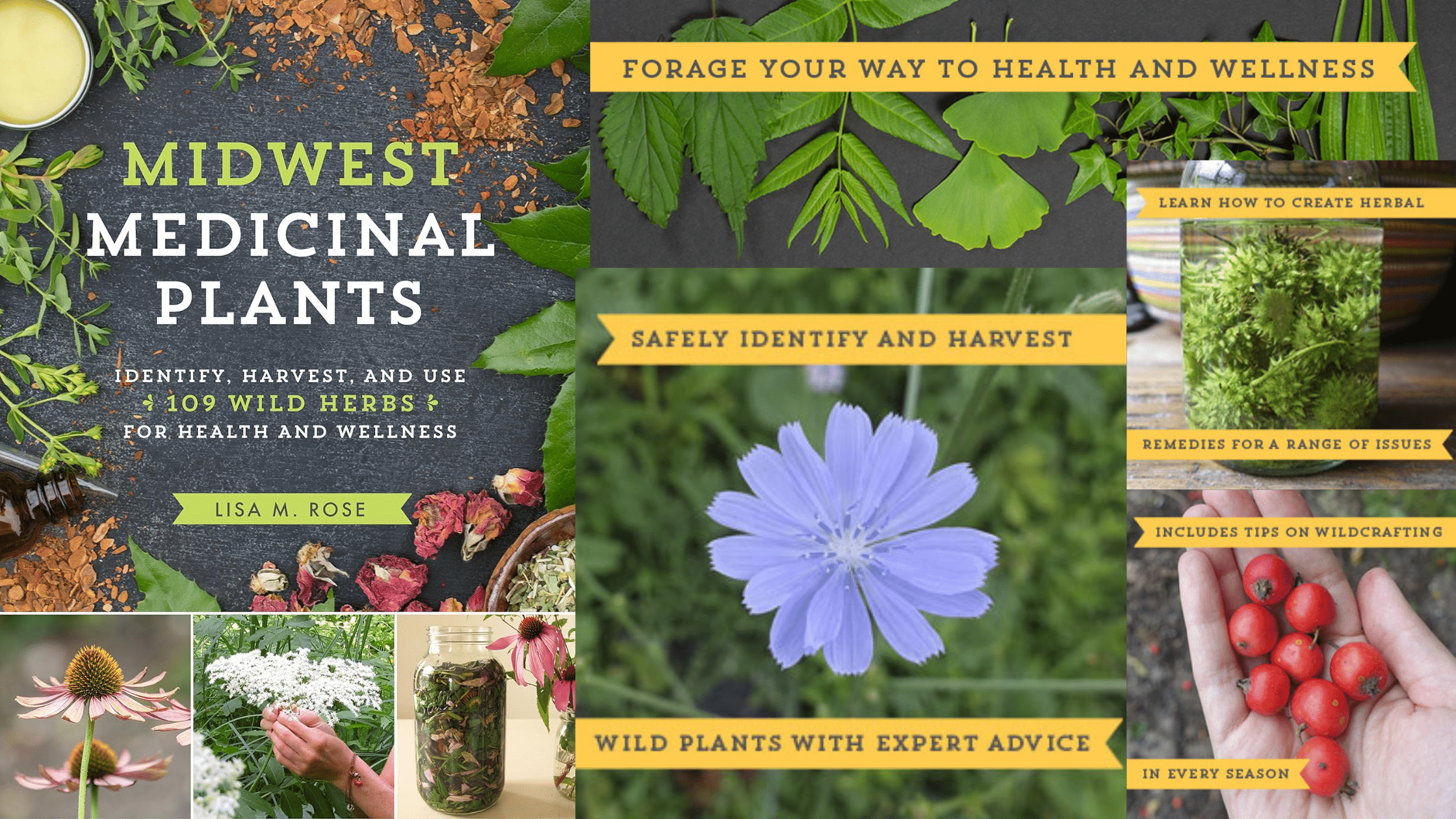 Midwest Medicinal Plants: Identify, Harvest, and Use 109 Wild Herbs for ...