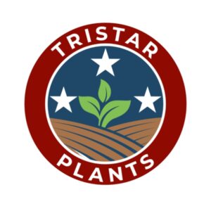 Tristar Plants Logo 600x600 1 300x300