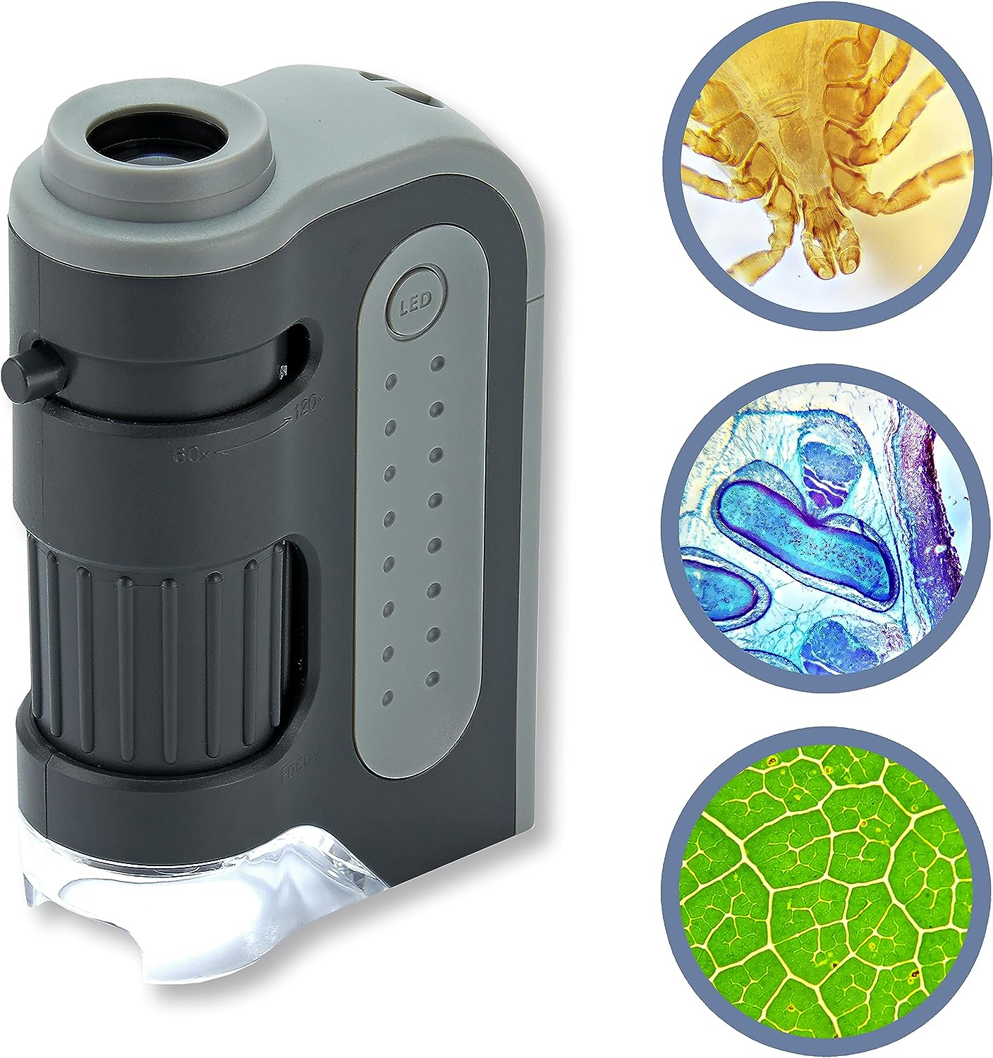 Carson MicroBrite Plus 60x-120x LED Lighted Pocket Microscope