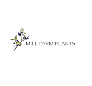 LOGO 1 9 300x279