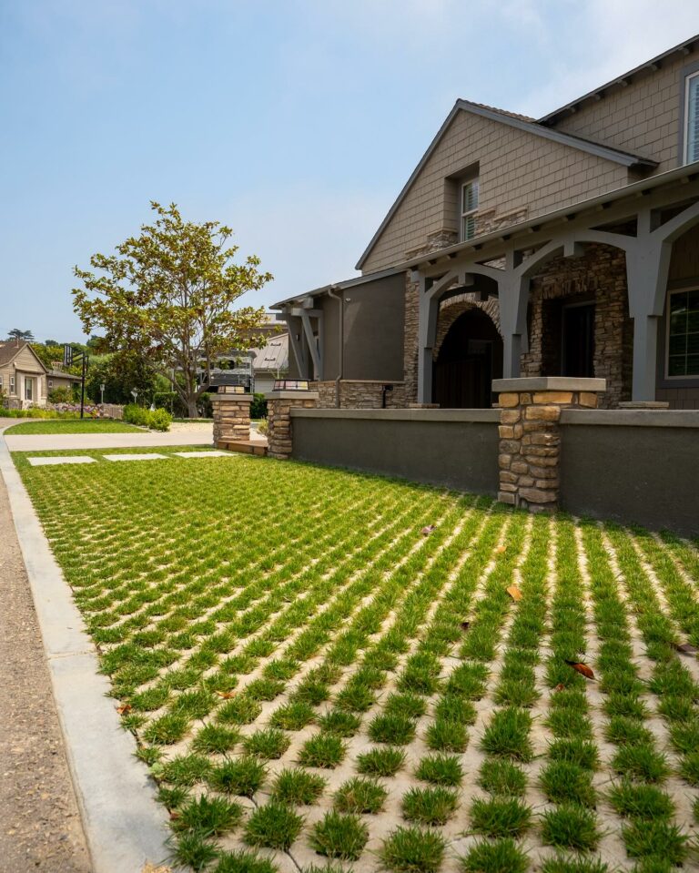 457272926 18090254350466789 424549020540269269 n 768x959