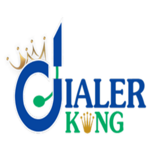 Dialerking Logo 300x300