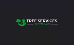 Big Logo 300x184