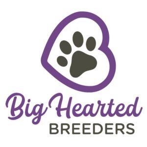 Big Hearted Breeders Logo 300x300