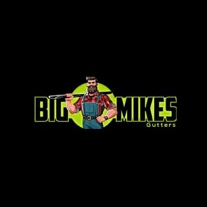 Big Mikes Gutters 300x300