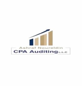 CPA Auditing LLC 2 287x300