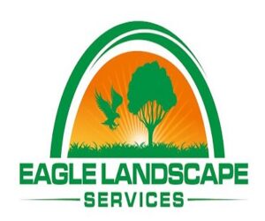 Eagle q 300x250