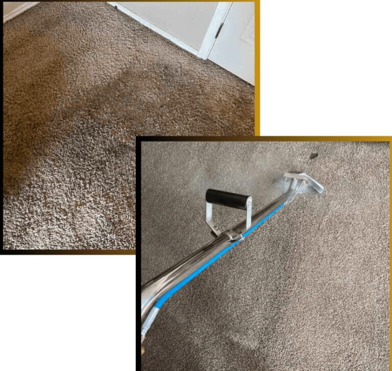 carpet cleaning 768x726