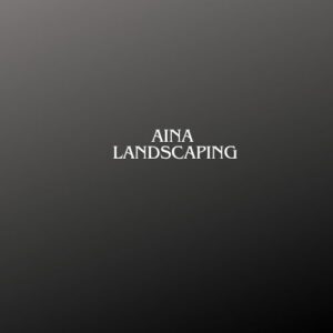 AINA 2 300x300