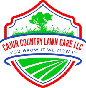 logo 21 32 292x300