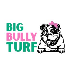 logo 21 62 300x300