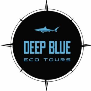 Logo 300x300