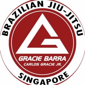 THE ROLLING SPACE PRIVATE LIMITED logo 300x300
