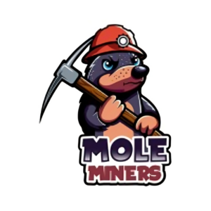 logo 2 6 300x300
