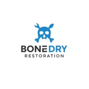 logo 21 33 300x300