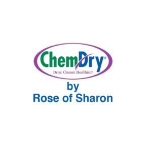 logo 21 57 300x300