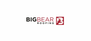 Bigbear logo Copy 300x136